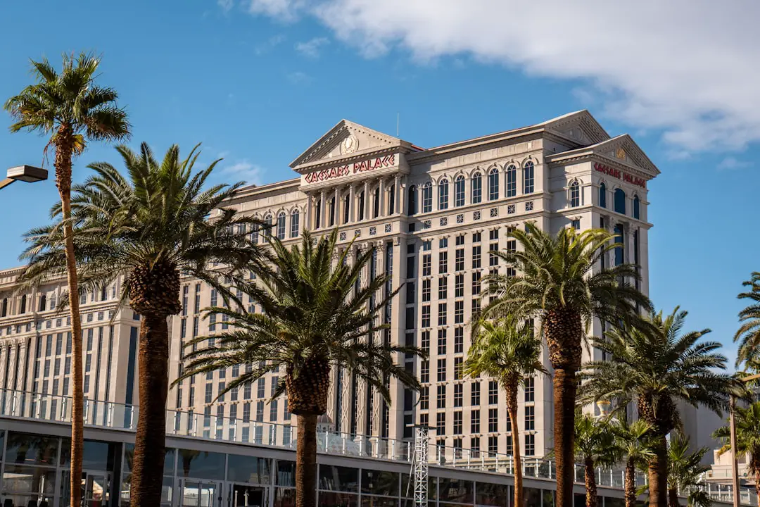 Photo Palms Hotel Vegas ownership