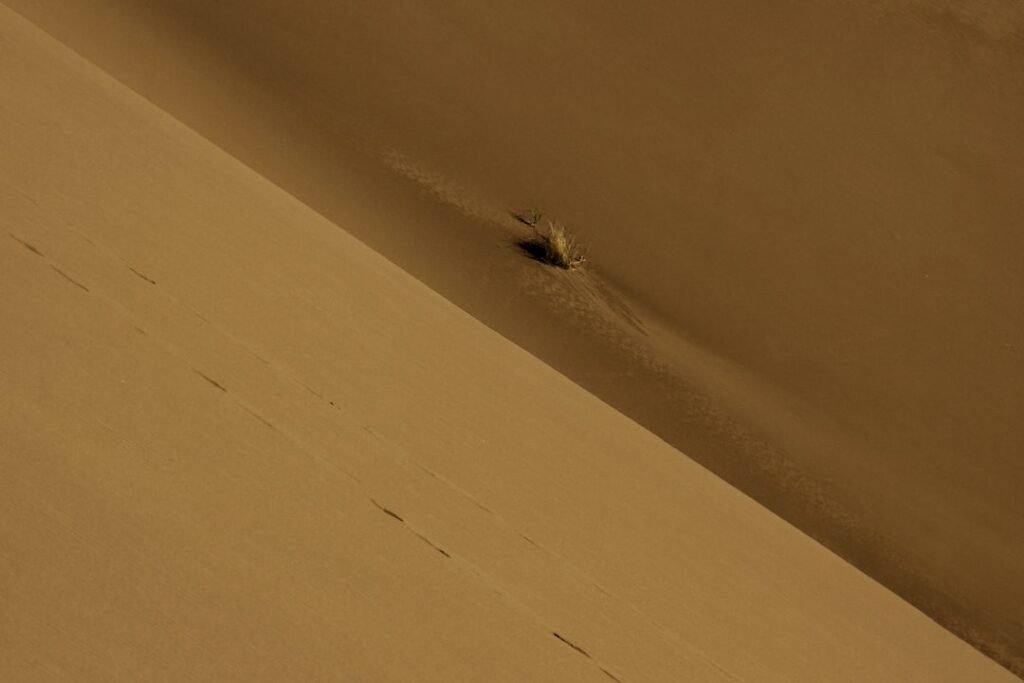 Photo hotel bed bugs