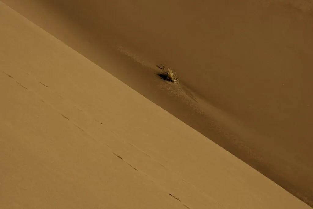 Spotting Bed Bugs in Hotels: A Guide Photo hotel bed bugs