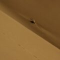 Photo hotel bed bugs