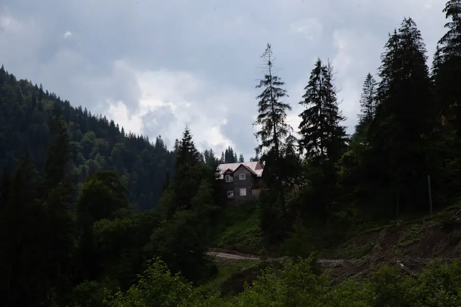 Photo stream hotel transylvania