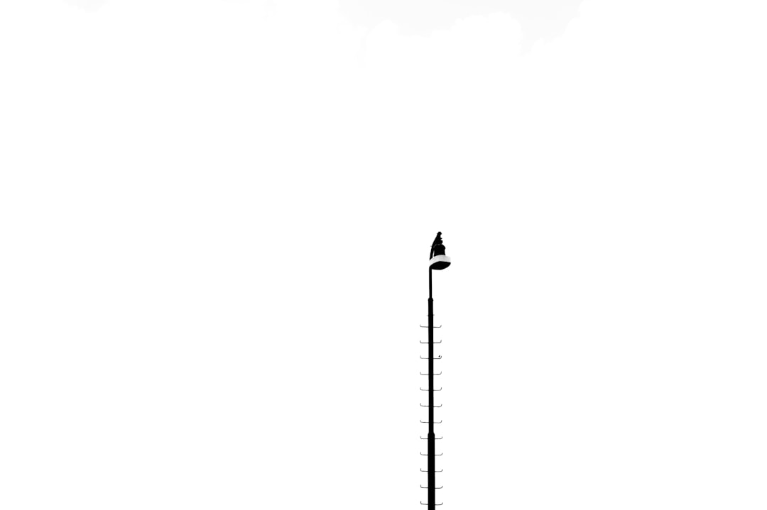 Photo husk height