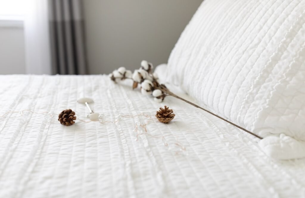 Identifying Bed Bugs in Your Hotel Room Photo hotel room bed bugs