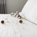 Photo hotel room bed bugs