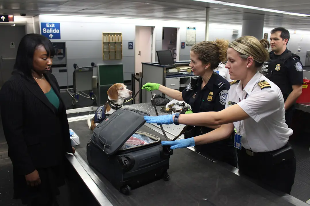 Photo measure luggage