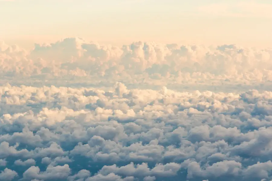 Photo SAS Airlines