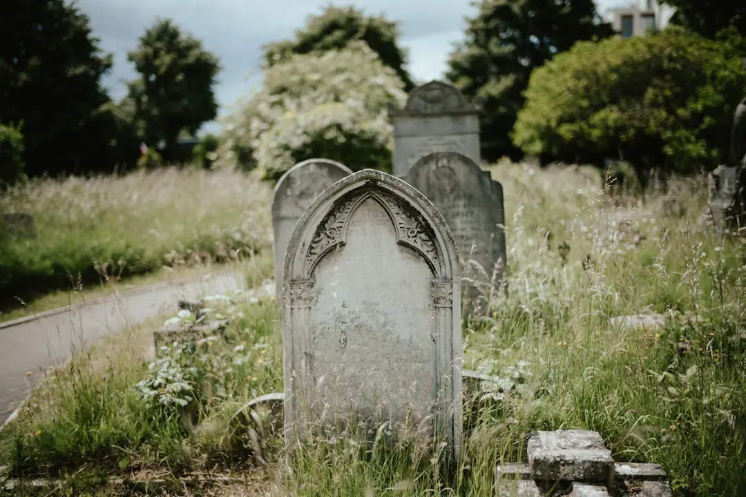 Photo bereavement fares