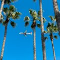 Photo airlines fly into west palm beach