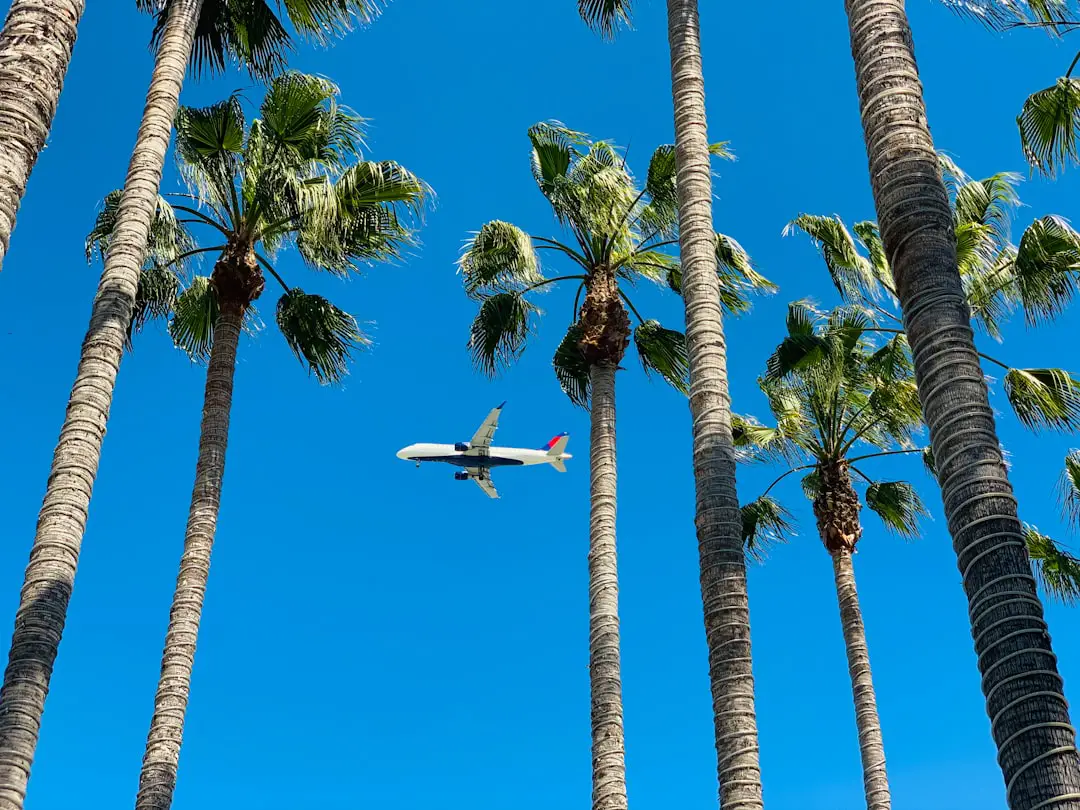 Photo airlines fly into west palm beach