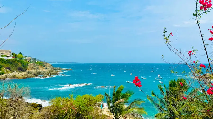 Photo southwest airlines fly punta cana dominican republic