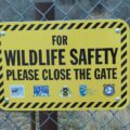 Photo safe place