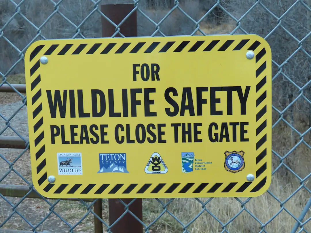 Photo safe place