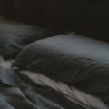 Photo bed bugs