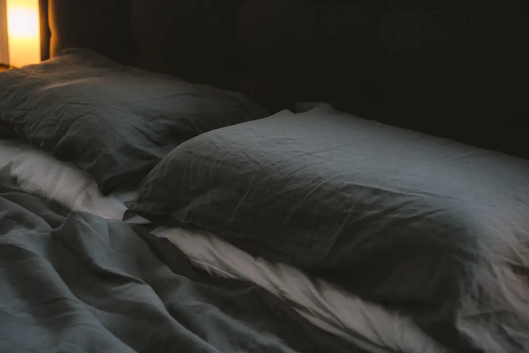 Photo bed bugs