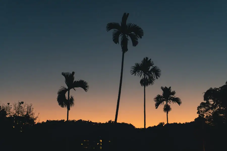 Photo hotel california lyrics
