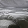Photo bed bugs