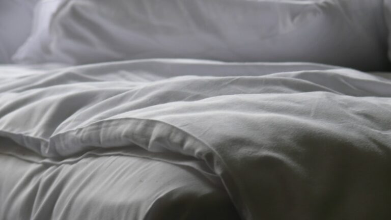 Photo bed bugs