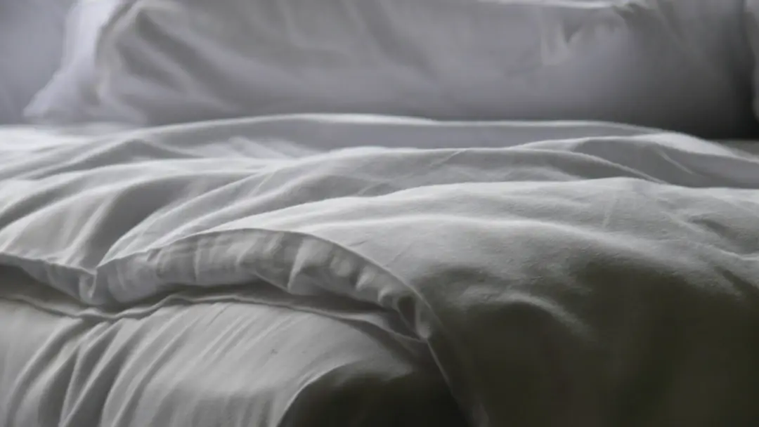 Photo bed bugs