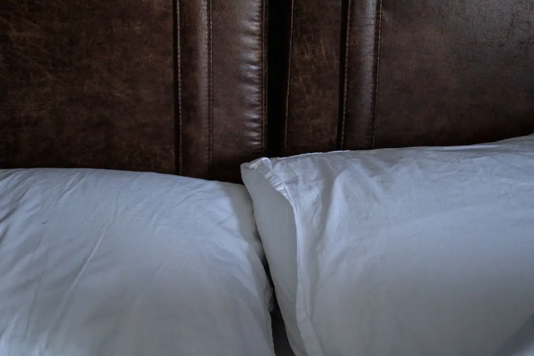Photo hotel bed bugs