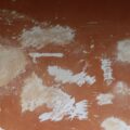 Photo watch hotel cocaine
