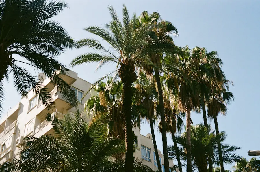 Photo hotel california song