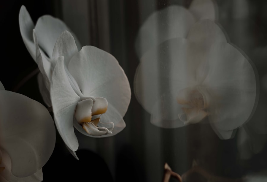 Photo hotel White Lotus season 3