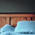 Photo check for bed bugs