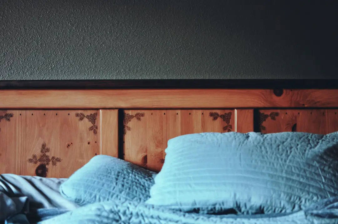Photo check for bed bugs