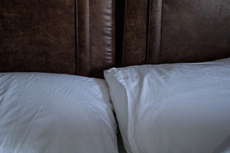 Photo hotel bed bugs