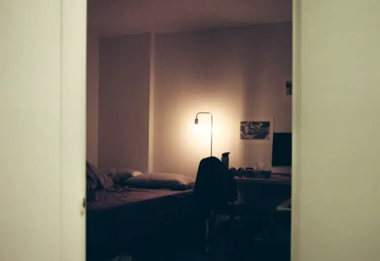 Photo hotel, home alone 2