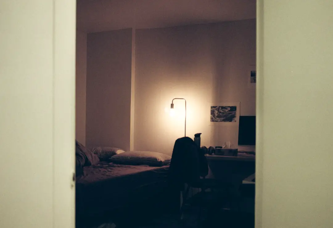 Photo hotel, home alone 2