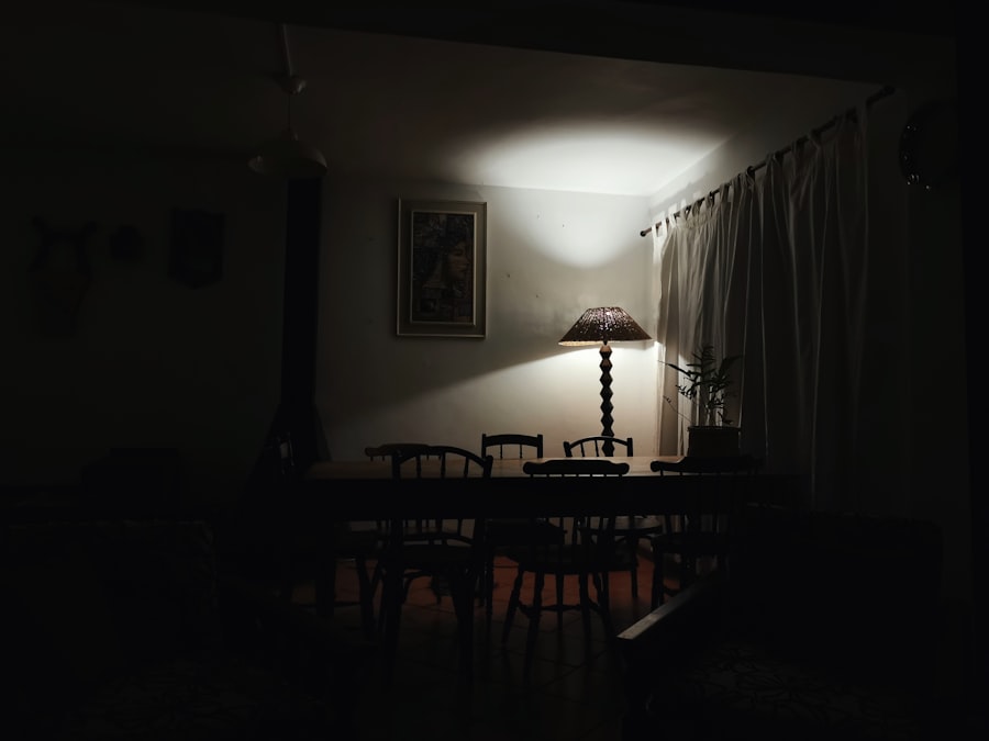Photo hotel, home alone 2