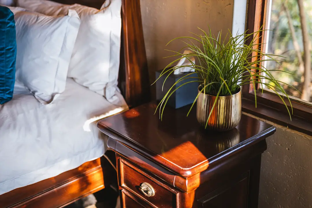 Photo hotel housekeeper tip