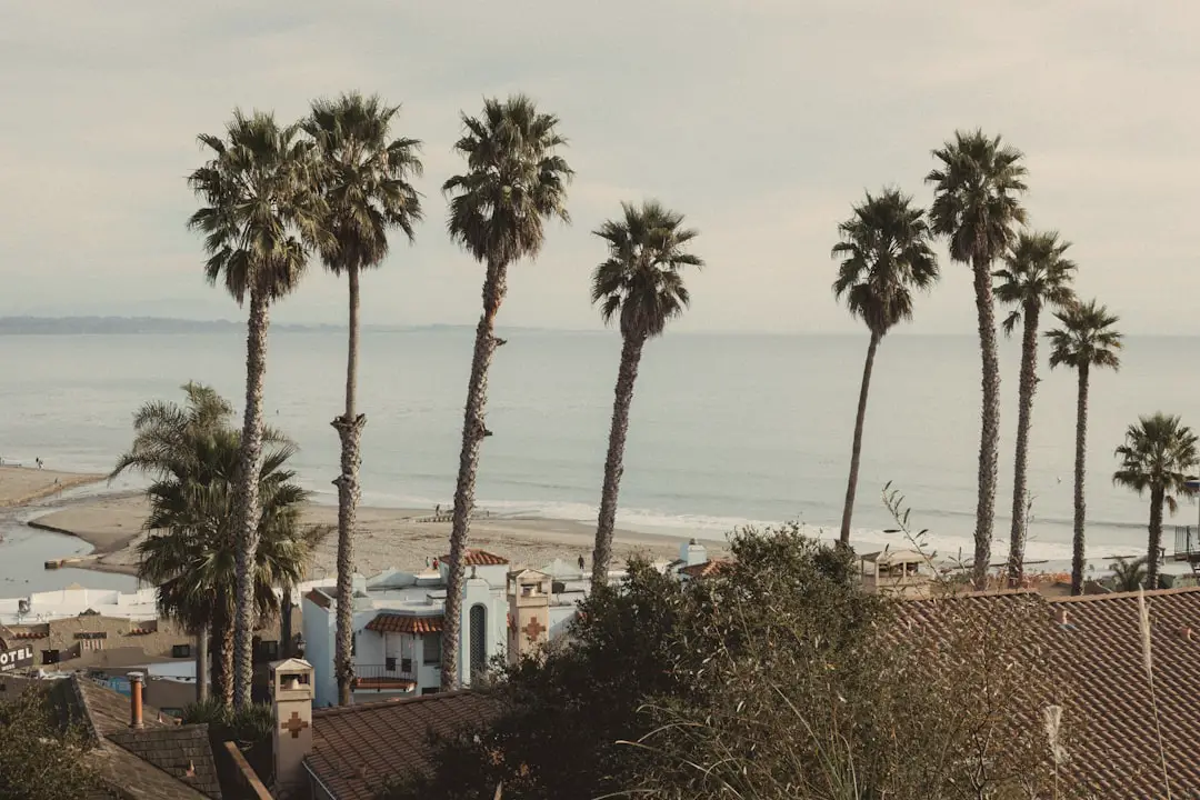 Photo hotel california song