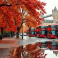 autumn leaves blanket streets