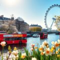 blossoming flowers vibrant atmosphere