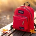 compact and stylish backpack