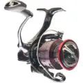 daiwa s lightweight spinning reel