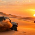 desert adventure experience dubai