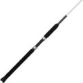 durable fishing rod review