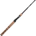 durable spinning fishing rod