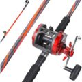 fishing pole combo review