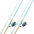 fishing rod and reel combo