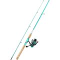 fishing rod and reel
