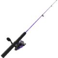 fishing rod for beginners