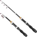 lightweight and portable fishing rod
