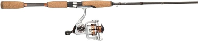 pflueger monarch fishing combo