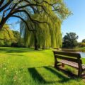 relaxing parks in fener