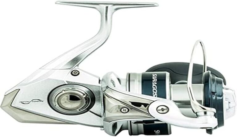 saragosa sw a performance review