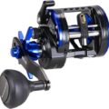 shark baitcasting reel review